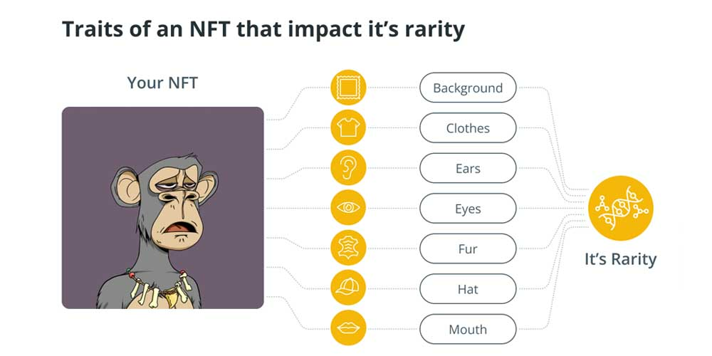 A Bored Ape Yatch Club NFT and how traits impact it's rarity