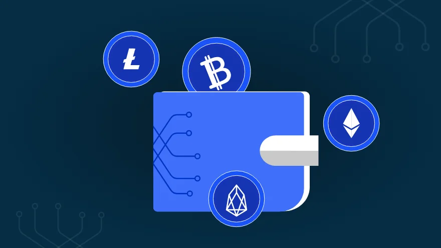 illustration of a crypto wallet