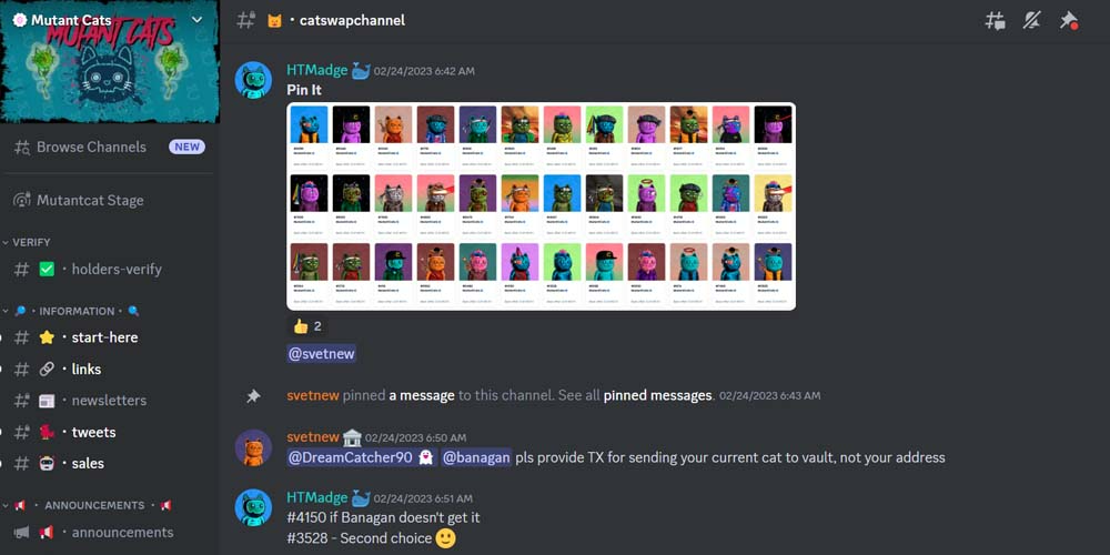 Mutant Cats Discord Server and various NFTs