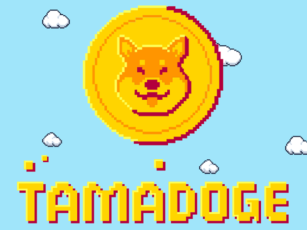 Tamadoge coin in the sky