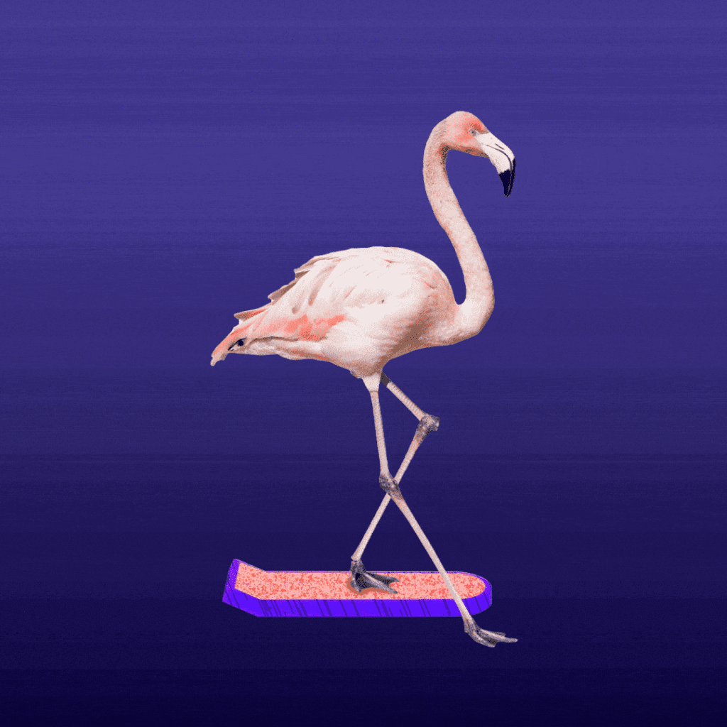 flamingo dao nft