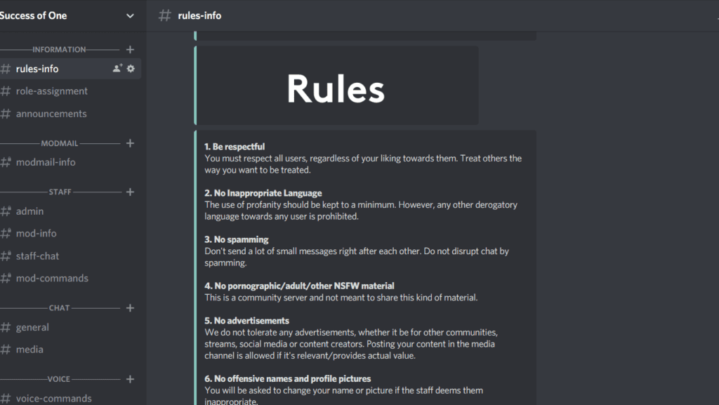 screenshot from a discord server showing the rules that people must follow