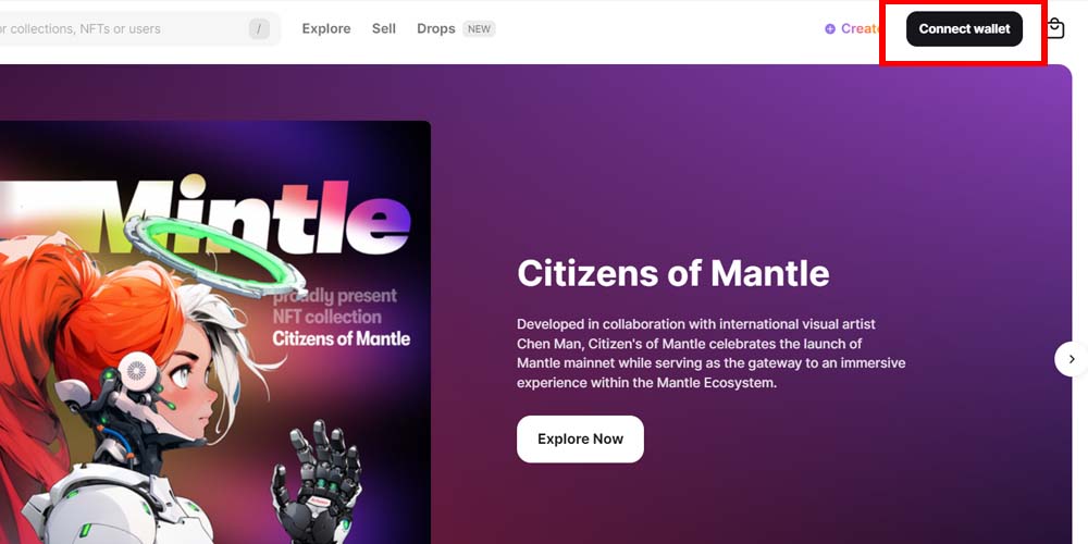 Connecting crypto wallets and Citizens of Mantle NFTs